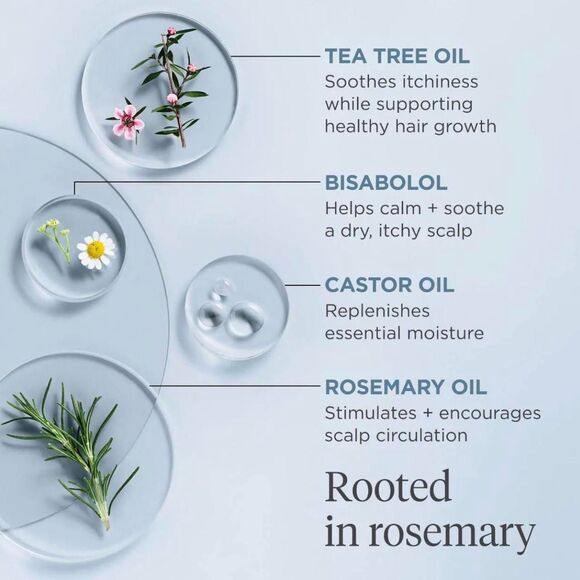 Briogeo Scalp Revival™ Rosemary Pre-Wash Scalp and Hair Oil - Picture 7 of 7